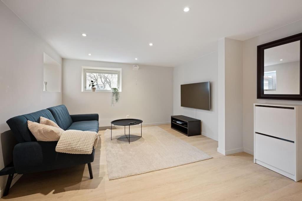 Apartment Practical Basement With Comforts Close To Centre *
